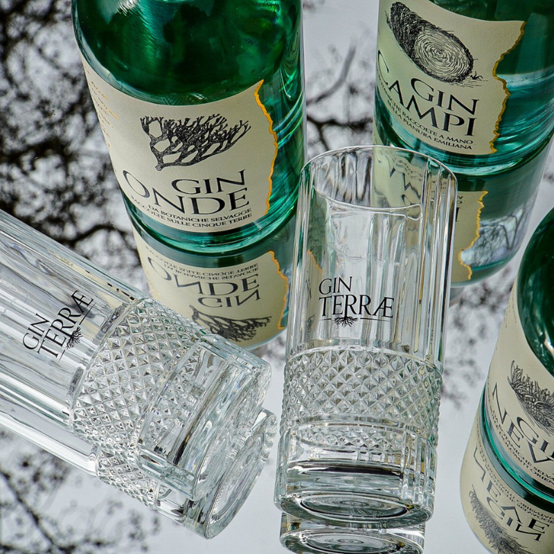 Glasses TUMBLER GIN TERRÆ