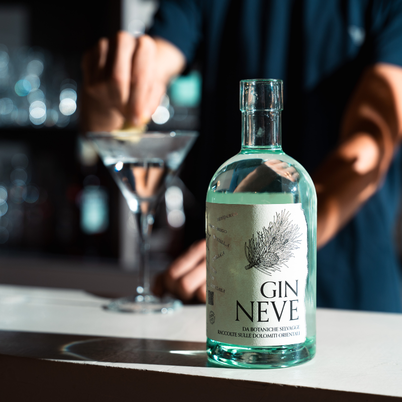 
                  
                    London Dry Gin Premium - Gin NEVE
                  
                