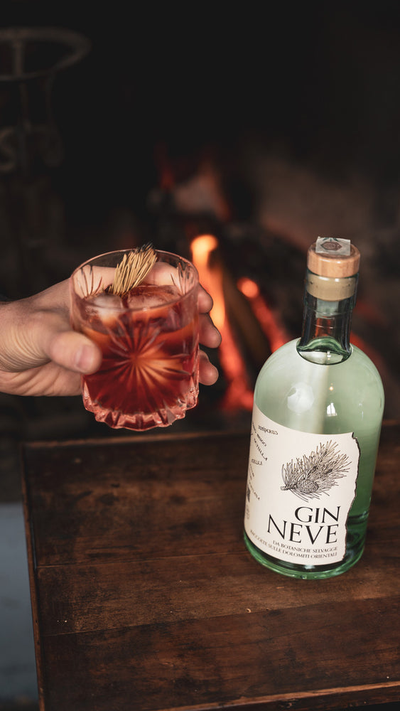 
                  
                    London Dry Gin Premium - Gin NEVE
                  
                