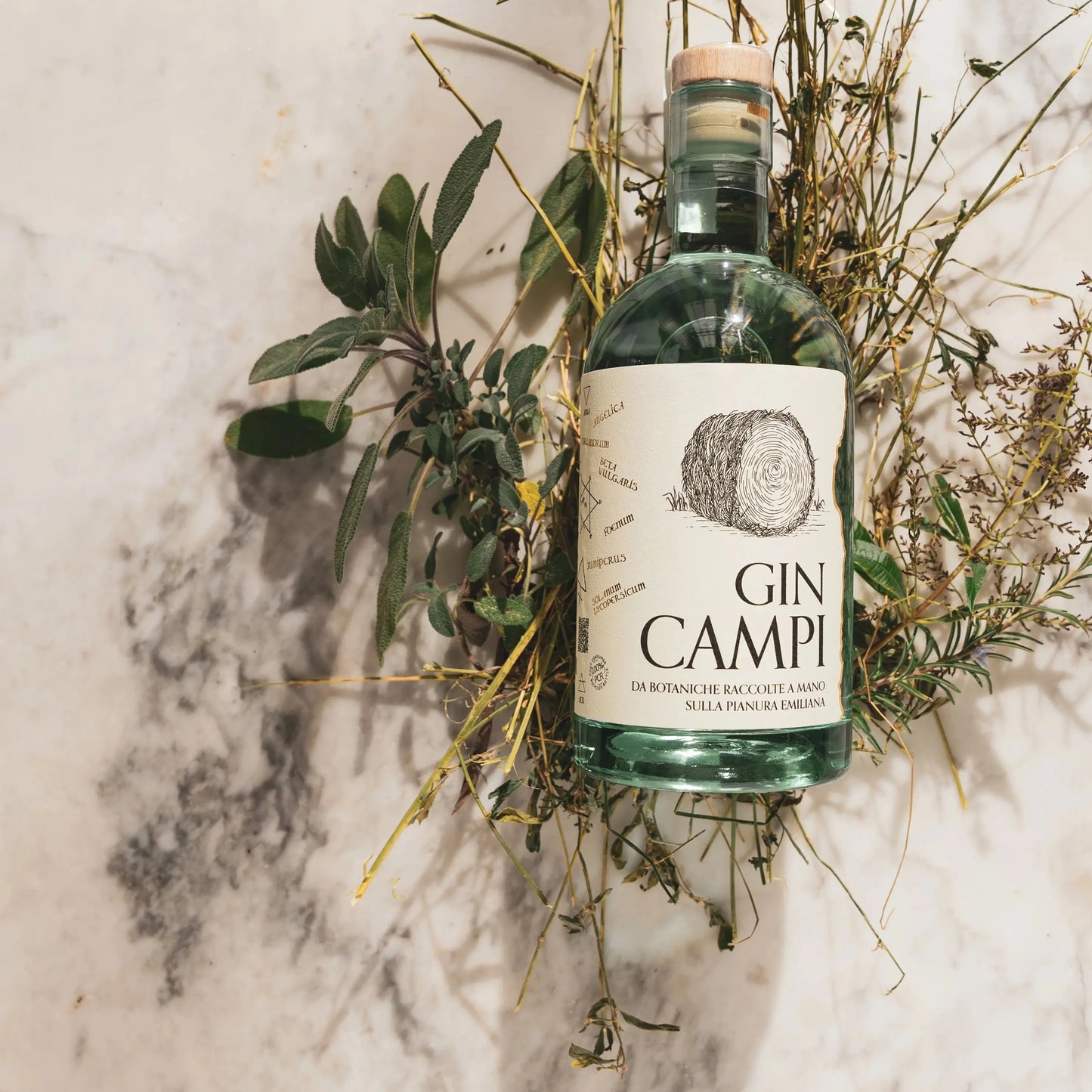 
                  
                    London Dry Gin Premium - Gin CAMPI
                  
                